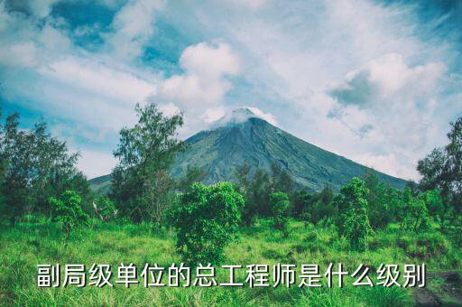 核安全總工程師是什么級別，總工程師是什么級別
