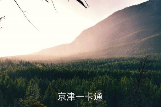京津冀公交卡一體卡是什么樣子的，在北京辦的藍(lán)色的公交卡是可以在石家莊所有公交用了嗎還是說京津