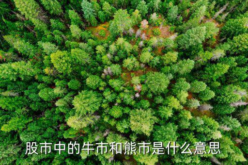熊市的意思是什么，股市中的牛市和熊市是什么意思