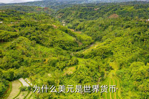美元為什么是世界貨幣，為什么美元是世界貨幣