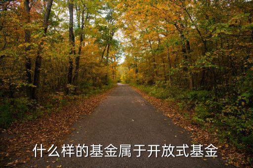 開放式基金是什么，什么叫做開放式基金