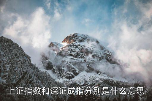 深成指b是什么，深證成指 中的成份A指和成份B指的區(qū)別求高手回答