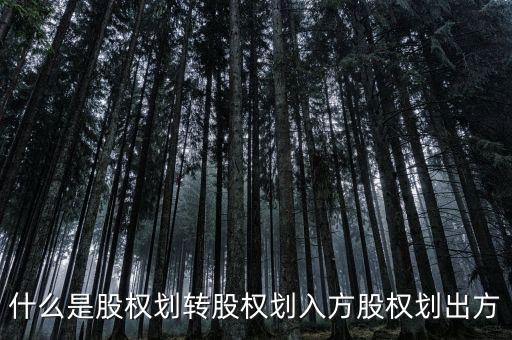 劃轉(zhuǎn)是什么意思，什么是股權(quán)劃轉(zhuǎn)股權(quán)劃入方股權(quán)劃出方