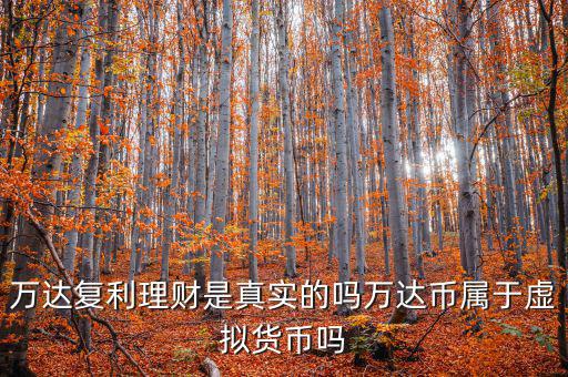 萬達貨幣是什么，萬達復利理財是真實的嗎萬達幣屬于虛擬貨幣嗎