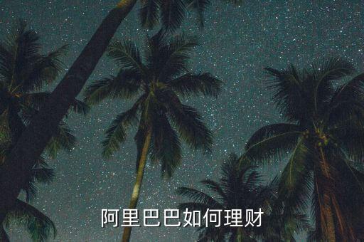 阿里財(cái)財(cái)是做什么的，網(wǎng)站為什么沒有開通支付寶充值