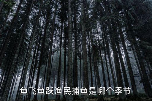漁民捕魚一般是什么時候，魚飛魚躍漁民捕魚是哪個季節(jié)