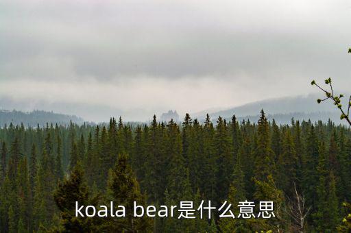 牛壓熊什么意思，tady bear是什么意思
