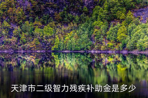 天津市對二級殘疾人有什么補助，二級殘疾人補助標(biāo)準(zhǔn)