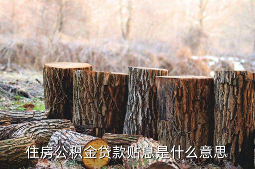 政采貸什么意思，住房公積金貸款貼息是什么意思
