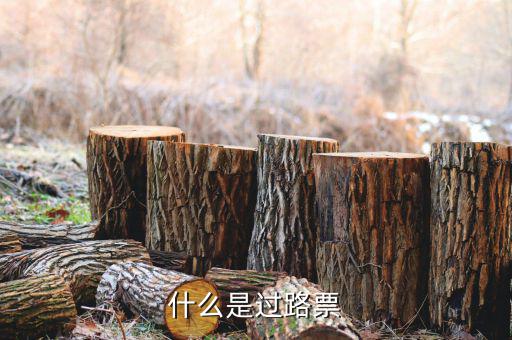 什么是過票行為，使用較消過的發(fā)票是什么行為