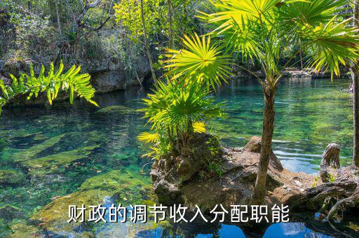 財政分配包括什么，向高手請教財政再分配都包括什么