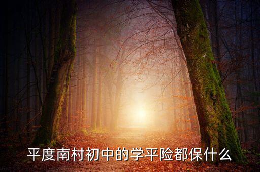 學(xué)平險(xiǎn)保些什么，中國(guó)人壽60元的學(xué)平險(xiǎn)保什么