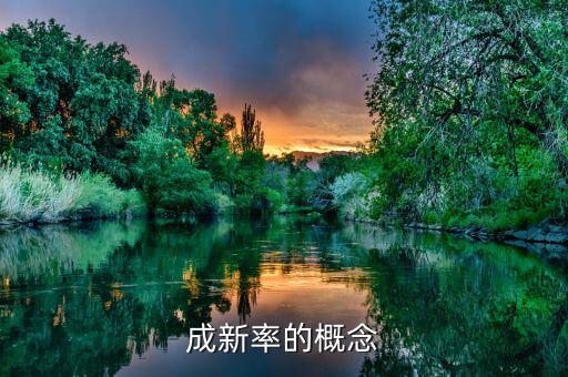 設備成新率是指什么，成新率的概念