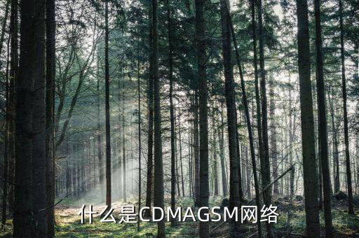 電信cdma是什么網(wǎng)絡(luò)，cdma是什么網(wǎng)絡(luò)