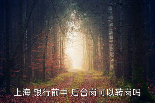 銀行前臺(tái)怎么轉(zhuǎn)后臺(tái),銀行分為中央銀行和政策銀行、商業(yè)銀行等