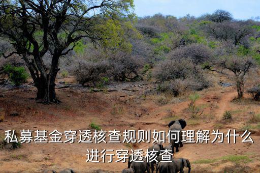 基金的穿透是什么意思，私募基金合格投資者的穿透核查怎么理解