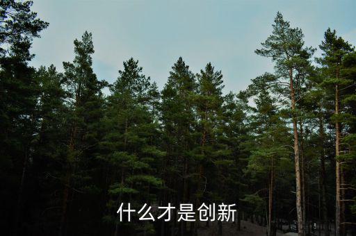 什么的創(chuàng)新，創(chuàng)新的定義是什么