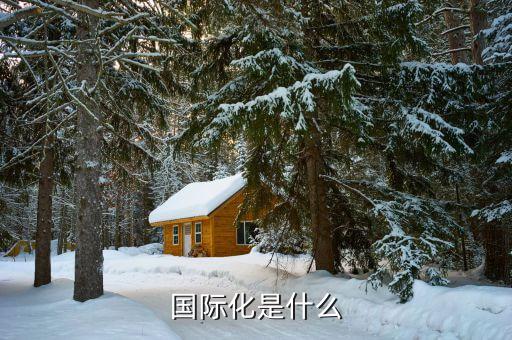 國(guó)際化的本質(zhì)是什么，經(jīng)濟(jì)全球化的本質(zhì)是什么