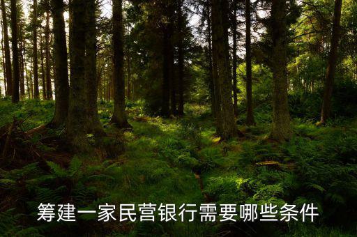 設(shè)立支行需要什么條件，想注冊個金融服務(wù)公司不知道都需要什么條件和手續(xù)