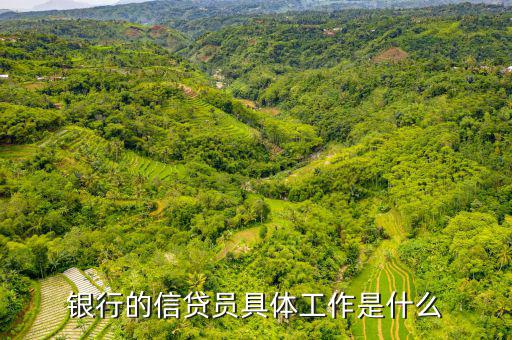 信貸員是做什么的，信貸員是做什么的