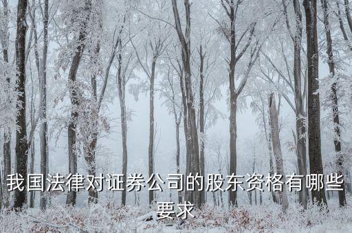 金融公司應引入什么樣的股東，我國法律對證券公司的股東資格有哪些要求