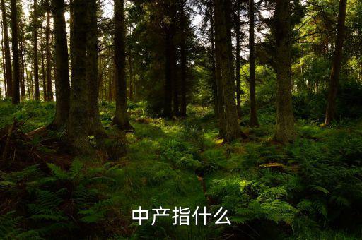 中產(chǎn)消費(fèi)什么，網(wǎng)易電商平臺(tái)帶給中產(chǎn)消費(fèi)者的核心價(jià)值是什么