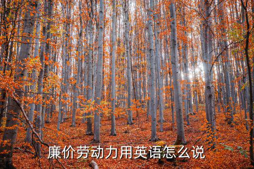 廉價(jià)勞動(dòng)力用英語(yǔ)怎么說