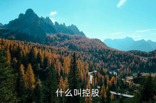 什么是控股關(guān)系，什么叫控股