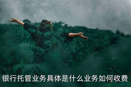 什么是票據(jù)托管，銀行托管業(yè)務(wù)具體是什么業(yè)務(wù)如何收費(fèi)