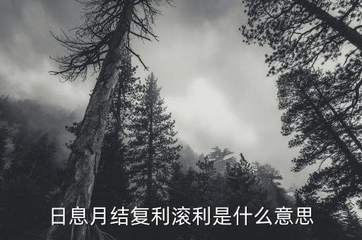 日息月結復利滾利是什么意思