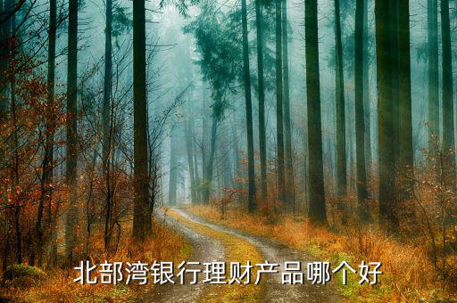 廣西省什么銀行理財產(chǎn)品好，在南寧哪家銀行的理財產(chǎn)品最好