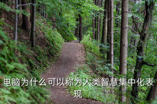 電腦為什么能夠做人工智能，電腦為什么可以稱為人類智慧集中化表現(xiàn)