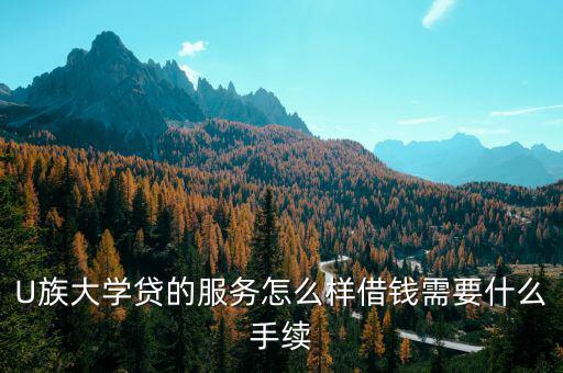 u族貸款需要什么，在U族大學(xué)貸借錢有啥要求