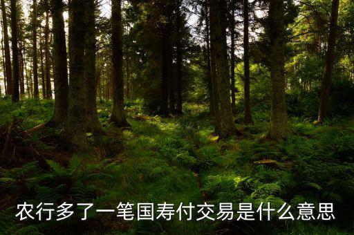 國壽交易是什么，農(nóng)行多了一筆國壽付交易是什么意思