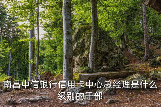 南昌中信銀行信用卡中心總經(jīng)理是什么級(jí)別的干部