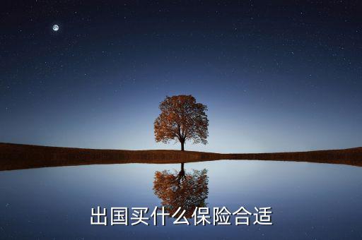 什么保險長期在國外有用，什么保險有去國外玩的保障啊