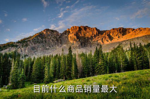 什么消費(fèi)品最大市場(chǎng)，目前什么商品銷量最大