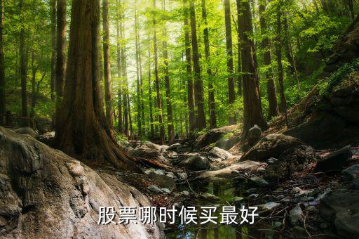 股票買什么段，股票哪時候買最好