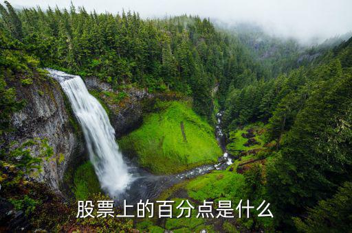 股份中的百分點是什么，在股票中百分點是指的什么