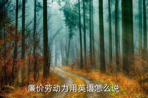 廉價(jià)勞動(dòng)力用英語(yǔ)怎么說
