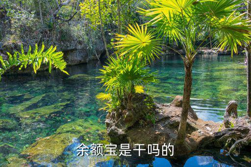 余額寶是什么，余額寶是干嗎的