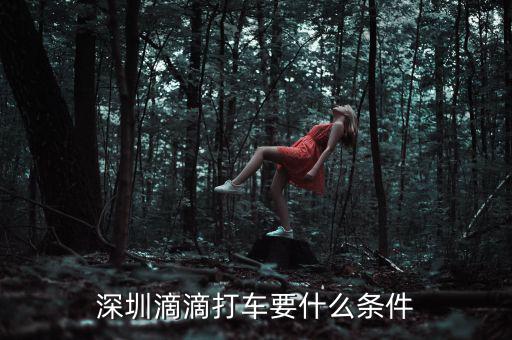 深圳交通滴滴有什么政策，申請深圳滴滴對司機(jī)有些什么要求嗎