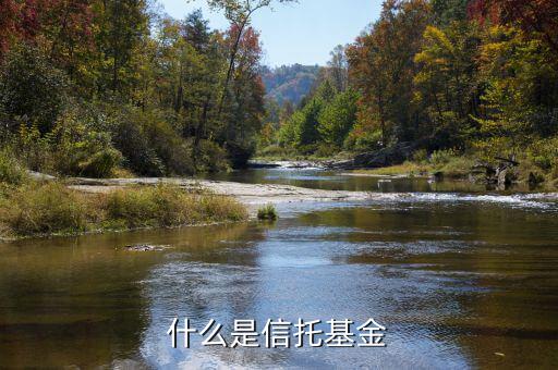 信托基金是什么，信托是什么