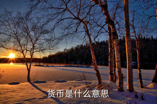 貨幣代表什么，貨幣是什么意思