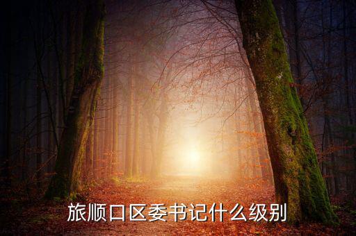 黃潤秋什么級別，中林集團董事長是什么行政級別