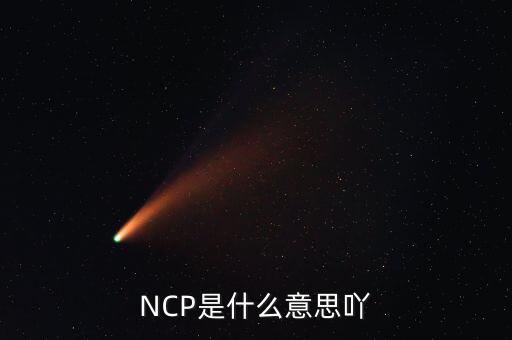 可比企業(yè)ncp是什么簡稱，NCP是什么意思吖