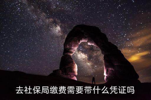 去社保局申報(bào)年度繳費(fèi)工資需要帶什么證件，去社保局繳費(fèi)需要帶什么憑證嗎