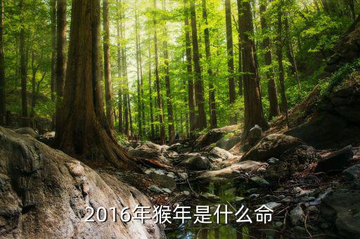 2016年是什么預(yù)兆，2016年猴年是什么命