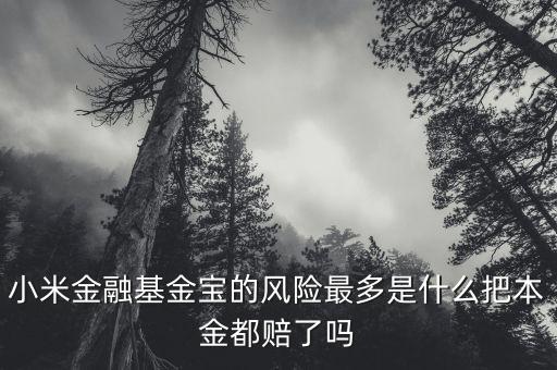 小米金融基金寶為什么一直跌，小米金融基金寶我投了100元為什么還在確認(rèn)當(dāng)中何時贖回
