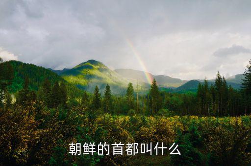 朝鮮總統(tǒng)府叫什么，朝鮮元首有專門的住所嗎有的話在哪